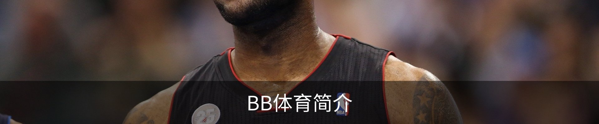 BB体育简介